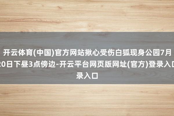 开云体育(中国)官方网站揪心受伤白狐现身公园7月20日下昼3点傍边-开云平台网页版网址(官方)登录入口