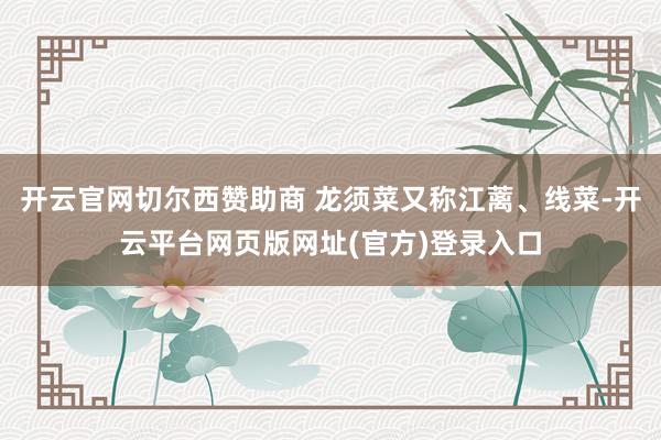 开云官网切尔西赞助商 龙须菜又称江蓠、线菜-开云平台网页版网址(官方)登录入口