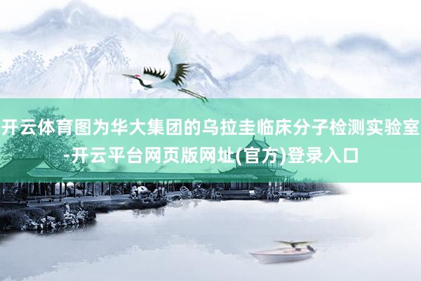 开云体育图为华大集团的乌拉圭临床分子检测实验室-开云平台网页版网址(官方)登录入口